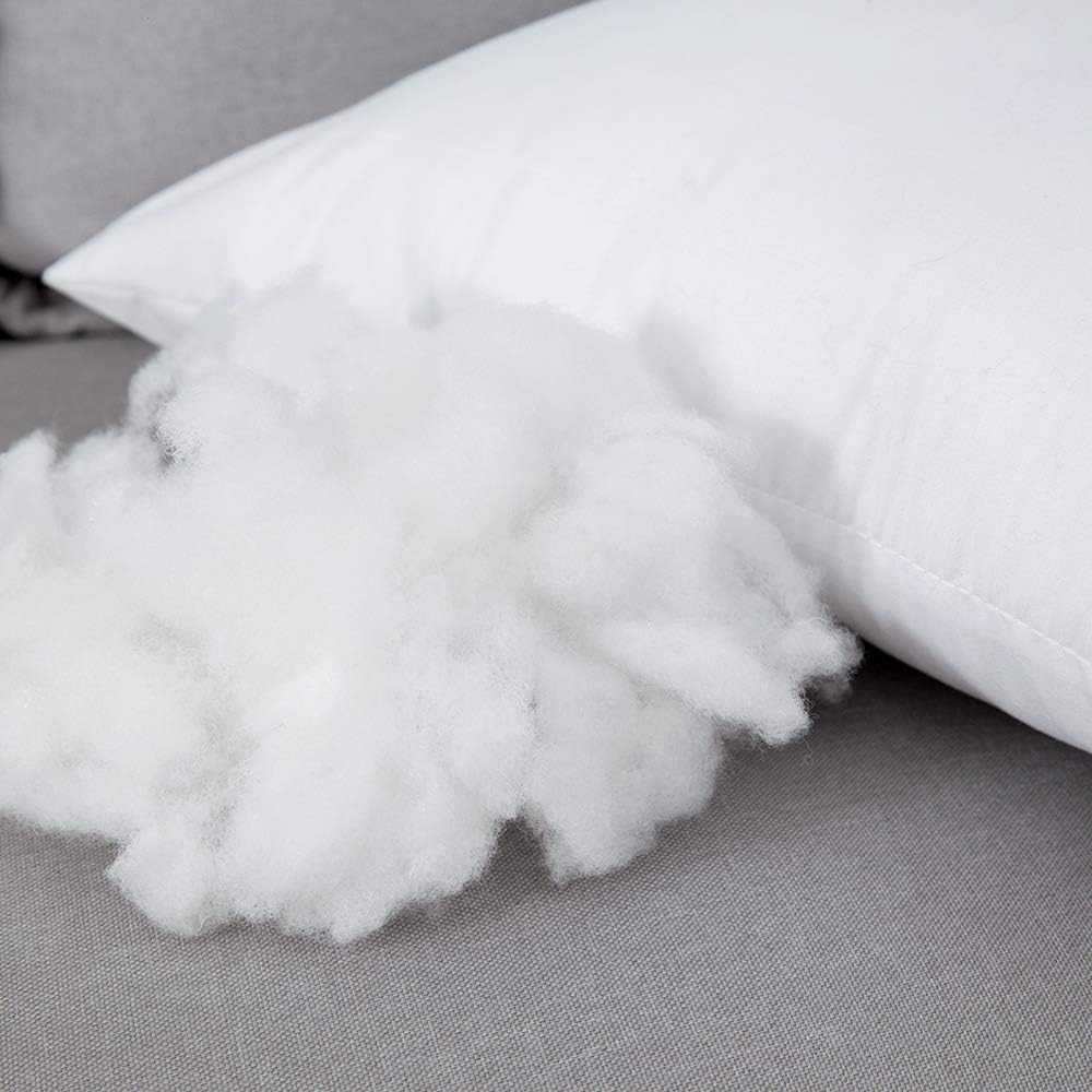 Cushions Inserts (Set of 2), Super Soft And Fluffy(40X60 cm)