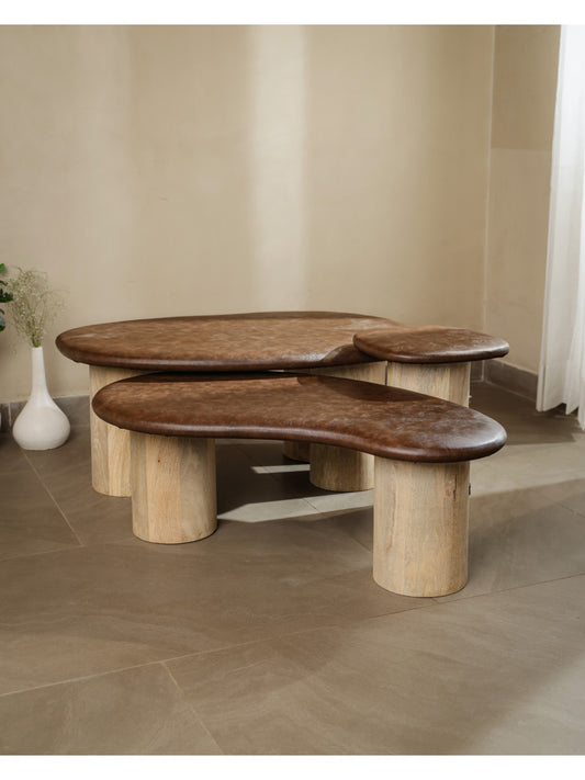 The Gasbh Set of 3 Coffee Tables for Living Room | Modern Wooden Nesting Center Tables with Organic Freeform Tops and Sturdy Pedestal Legs | Natural Wood Finish | Multi Purpose Tables for Home Sofa and Lounge